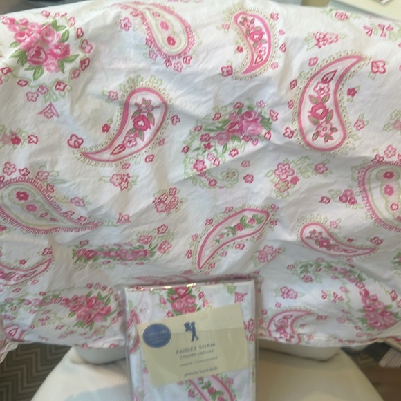 Pottery barn Kids NWT Paisley Sham Standard + 1 Very Gently Used!! - Picture 6 of 6